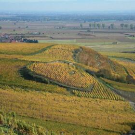 GrandCru_Saering_Schlumberger_Alsace