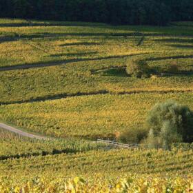 Grand Cru Spiegel Schlumberger Alsace