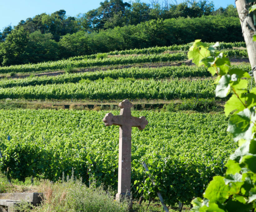 Vignoble Domaines Schlumberger Alsace