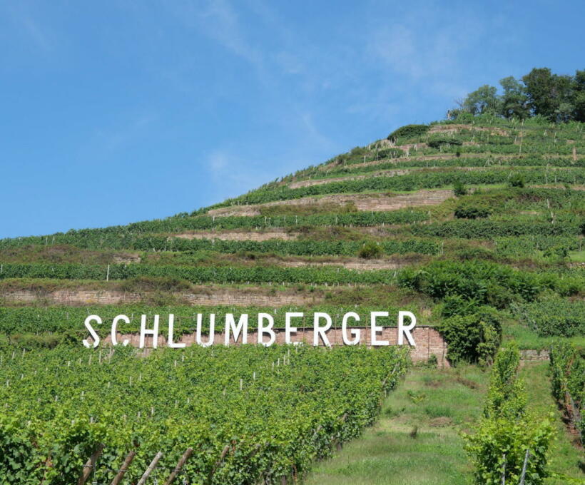 Vignoble Domaines Schlumberger Alsace