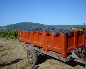 Casiers vendanges Domaines Schlumberger