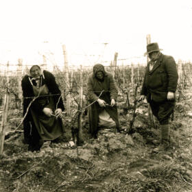 Histoire vigne Domaines Schlumberger Alsace