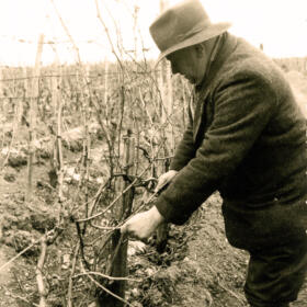 Histoire taille Domaines Schlumberger Alsace