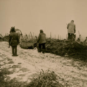 Histoire vigne Domaines Schlumberger Alsace