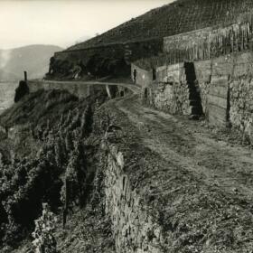 Histoire murs Domaines Schlumberger Alsace