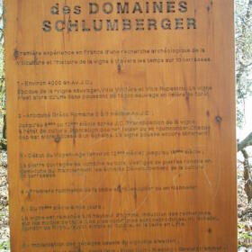 Vigne musee Domaines Schlumberger Alsace