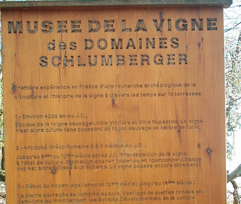 Vigne musee Domaines Schlumberger Alsace