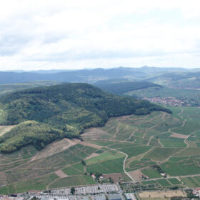 Vigne vue ensemble Domaines Schlumberger Alsace