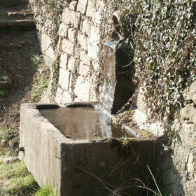 Vigne Fontaine Domaines Schlumberger Alsace