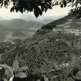 Vigne histoire Domaines Schlumberger Alsace