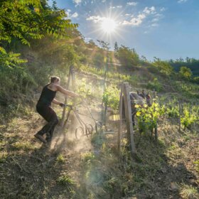 travail-cheval-domaines-schlumbeger