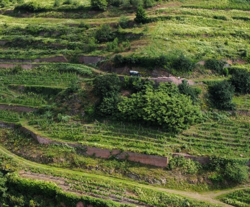 Vignerons Engagés Label: Domaines Schlumberger Reaches “Exemplaire” Level